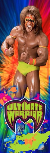 Banner vinile wwe gigante - banner,