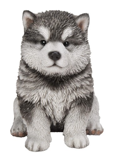Line regalo malamute - hi-line,
