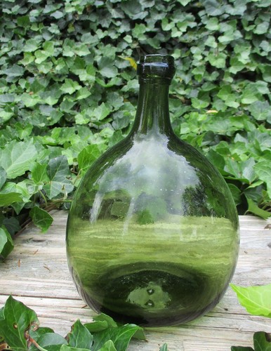 Vetro forestale del