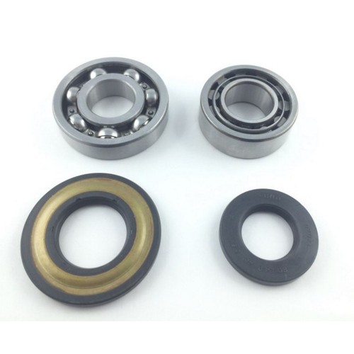 Kit revisione albero motore - revisione,