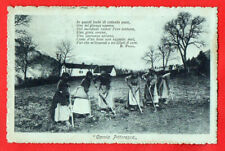 CARNIA PITTORESCA -COSTUMI -UDINE- CON TIMBRO DI POSTA MILITARE 29^ DIV