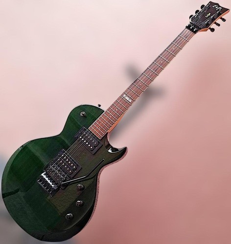 Chitarra elettrica esp custom - esp,