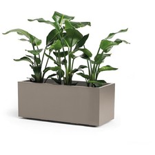 Fioriera Euro3Plast BEBE VERDE 100 cm tortora