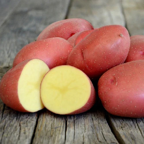Semi patate bellezza 02 - di,