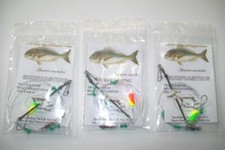 SURFCASTING 3 TERMINALI 1AMO