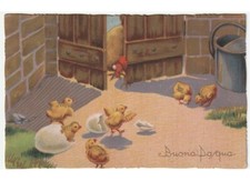 1940 gallina chioccia pulcini gusci d'uovo cartolina Buona Pasqua d'epoca