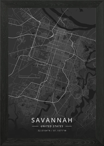 Savannah stati uniti con - stati,