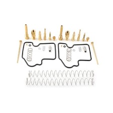 Per Kawasaki Brute Force 750