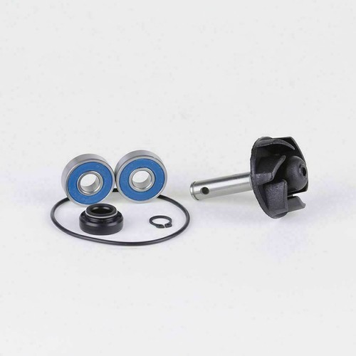 Kit revisione pompa acqua - revisione,