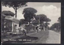 Cartolina Milano Marittima Ville nella Pineta HF55