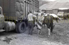 1956 Mills Bros Circus -