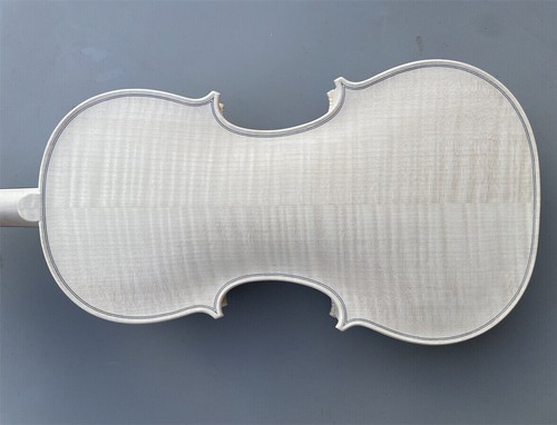Violino professionale - violino,