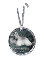 Cocker Spaniel Americano -