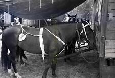 1954 Mills Brothers Circus -