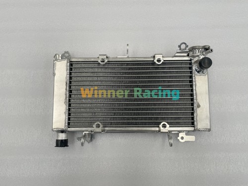 🔥Radiatore alluminio adatto
