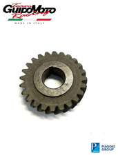 PIGNONE CAMPANA Z24 DENTI