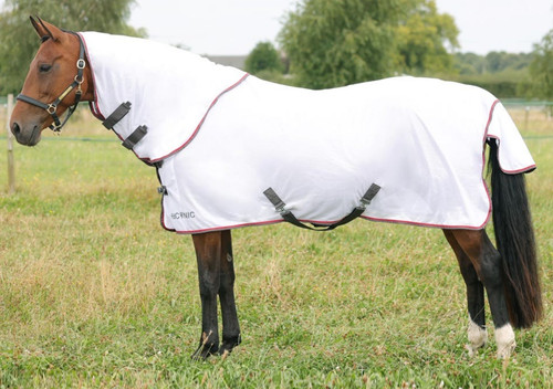 Equestrian hyconic tappeto - equestrian,