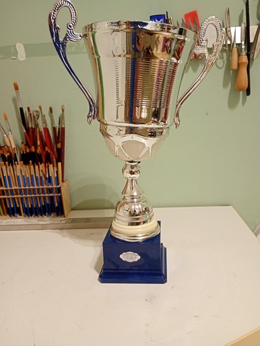 Coppa trofeo usata - coppa,