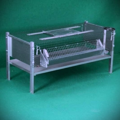 Gabbia per quaglie - gabbia,