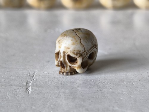 Memento mori vanitas - memento, skull
