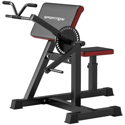 Sportnow panca curl - sportnow,