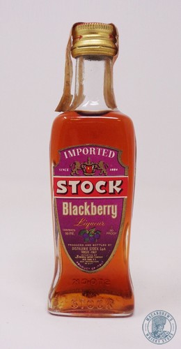 Miniature mignon blackberry - /,