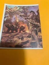 FIGURINA N.293 ANIMALI