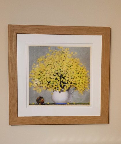 Mimosa melograno di franco - "mimosa,