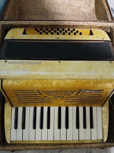 Fisarmonica vintage settimio - fisarmonica,