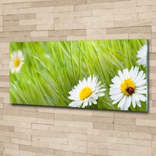 Glass Print Wall Art Image