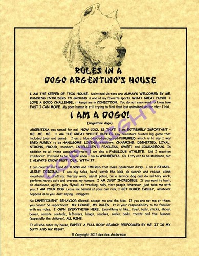 Rules dogo argentino s - in, a