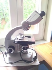 Microscopio Carl Zeiss