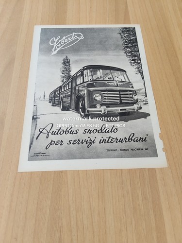 1951 viberti autobus snodato - ,