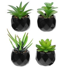  4 Pcs Piante Grasse Finte