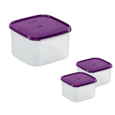 Tupperware Modular Mates
