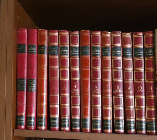 Enciclopedia agostini gli - enciclopedia,