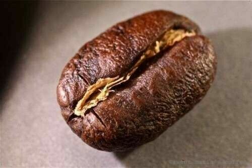 Caffè grani guatemala - caffè,
