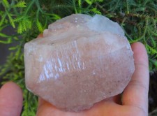 Campioni Di Cristallo E