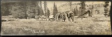 Imballaggio RPPC a Piney Creek