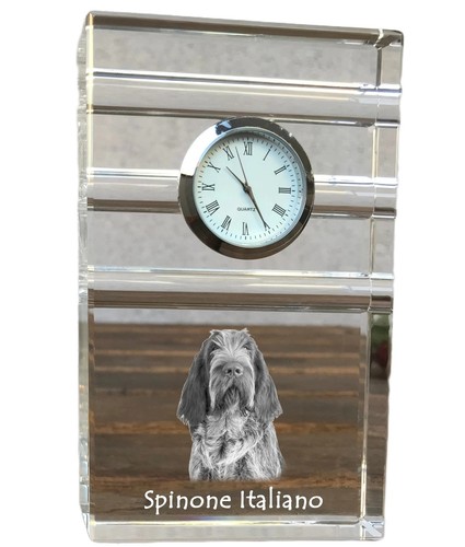 Spinone italiano orologio - , a