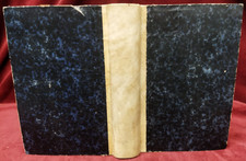 LE METAMORFOSI DI DINO