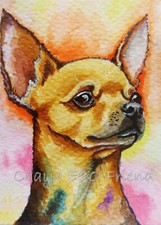 ACEO art STAMPA Chihuahua cane