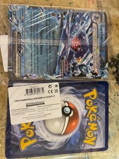 2 Carte Pokemon Grandi Garchomp
