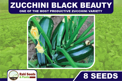Zucchine black beauty una - zucchine,