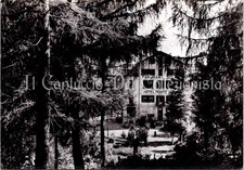 1961 PREMOENO Pian di Sole