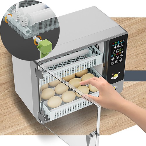 Incubatrice automatica uova - incubatrice,