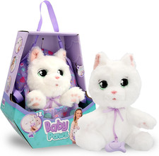 Gatto, Cucciolo Di Peluche