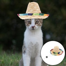  Chien sombrero chapeau