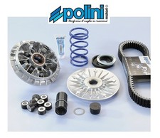 Polini 241 701 - 241.701.1, completo