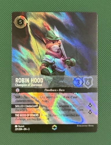 Robin hood campione di - robin,